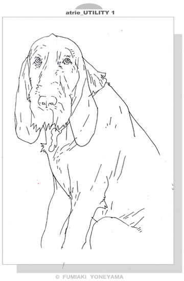 生き物のイラスト 犬 イタリアン スピノーネ 幸せの イラストレイジ イラスト 人物 女性 スケッチ クロッキー 似顔絵 と 文章を日々更新